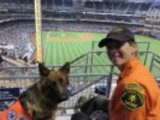 9 long coat german shepherd